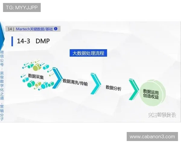 亚星管理平台官方:数据分析与报表生成的详细操作流程 亚星管理平台官方:数据分析与报表生成的详细操作流程