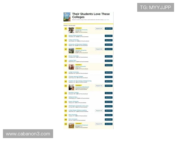 亚星国际电脑版用户评价与口碑分析，了解真实玩家的使用体验与建议